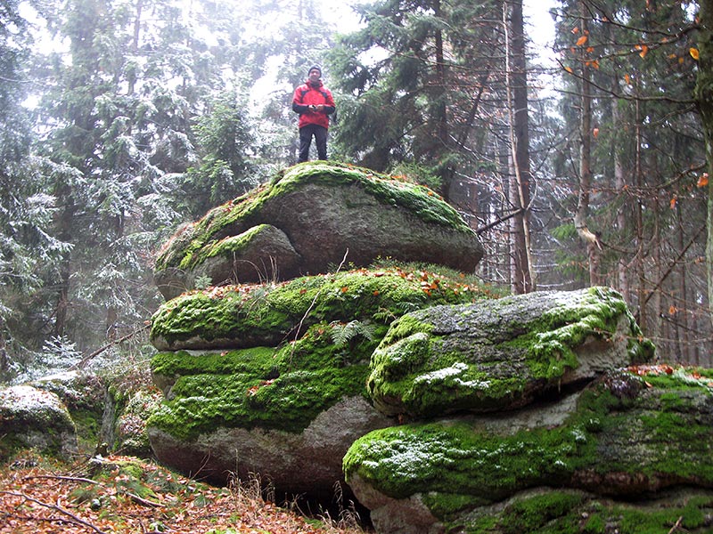 waldviertel